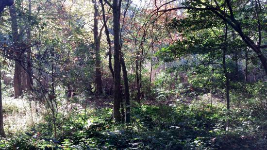 Weyanoke Bird and Wildlife Sanctuary