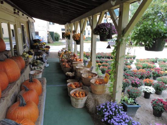 Weston's Farm