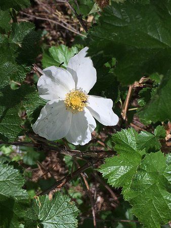 Humphrey History Park and Museum