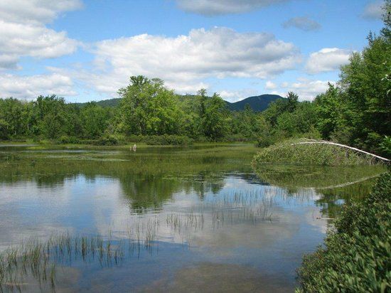 Newfound Lake