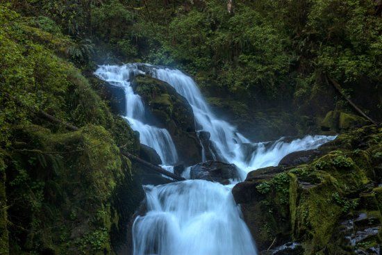 Sweet Creek Falls