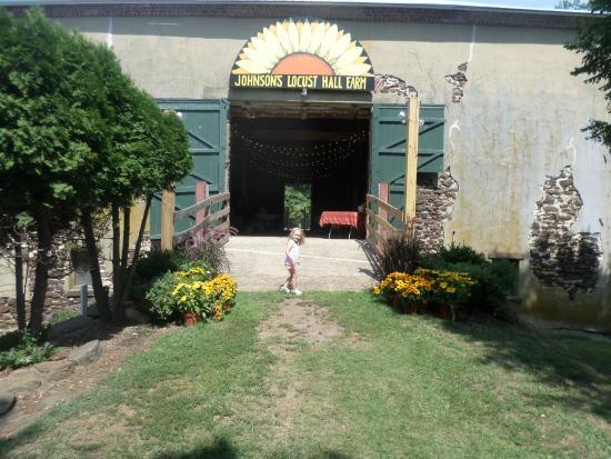 Johnson's Locust Hall Farm