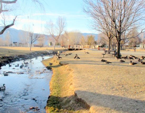 Lampe Park