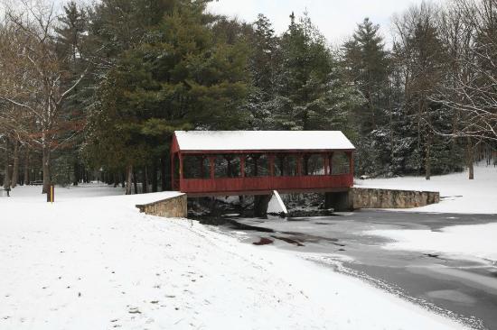 Stratton Brook State Park