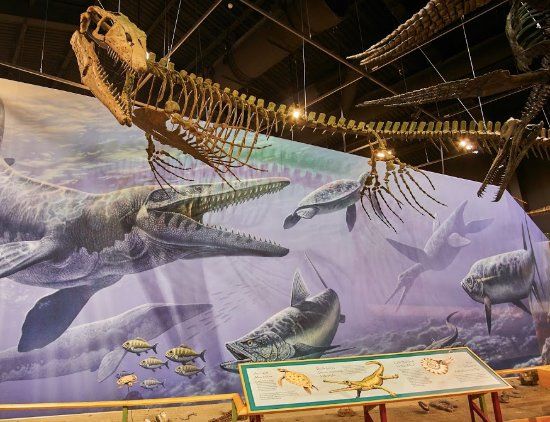 Fort Peck Interpretive Center