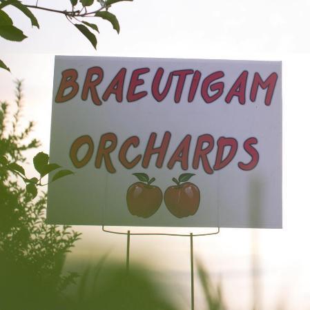 Braeutigam Orchards