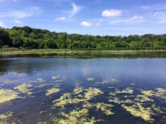 Watershed Nature Center