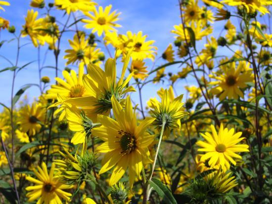 Eagle Marsh Nature Preserve