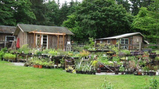 Chocolate Flower Farm