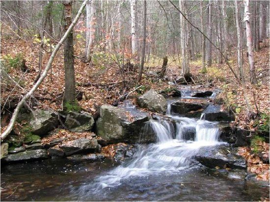 Parc de la Riviere Doncaster