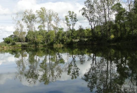 Holiday Beach Conservation Area