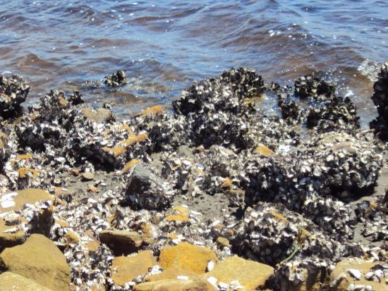 Winda Woppa Beach Reserve