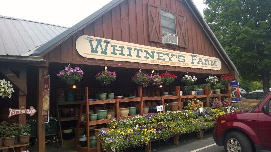 Whitney's Farm Market & Garden Center
