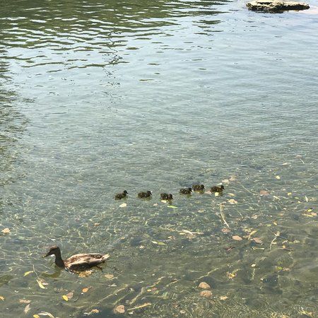 Riverside Park