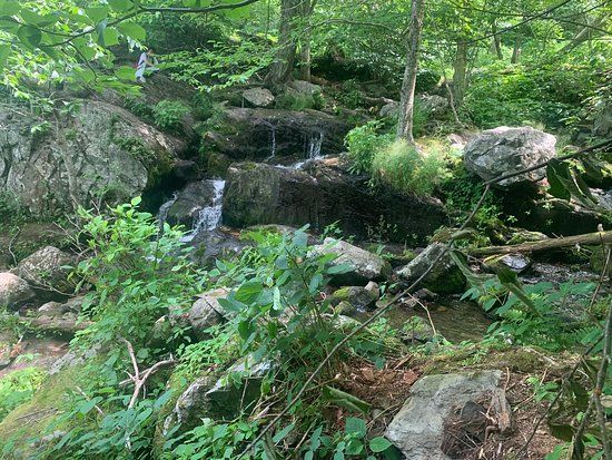 Lewis Spring Falls