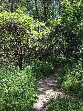 Medway Valley Heritage Forest