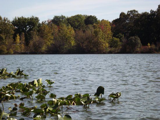 Springfield Lake Park