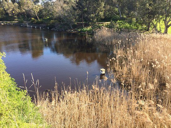 Darebin Parklands