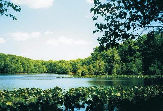 Staten Island Greenbelt