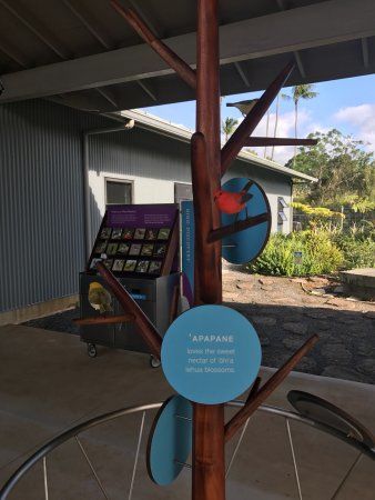 Hawai'i Wildlife Center