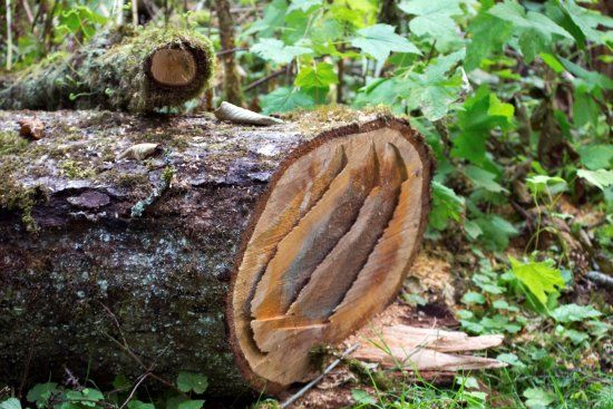 Derby Reach Regional Park Heritage Area