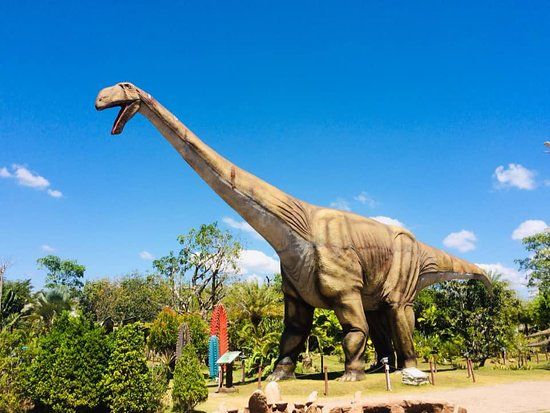 Dinosaur Park