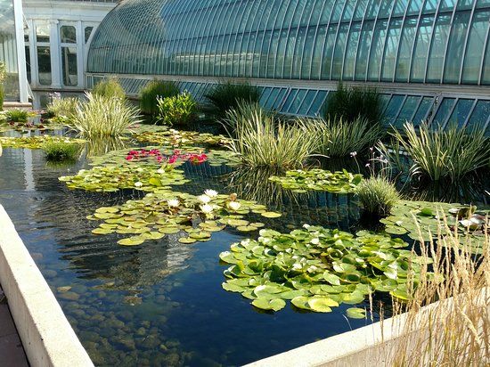Como Park Zoo & Conservatory