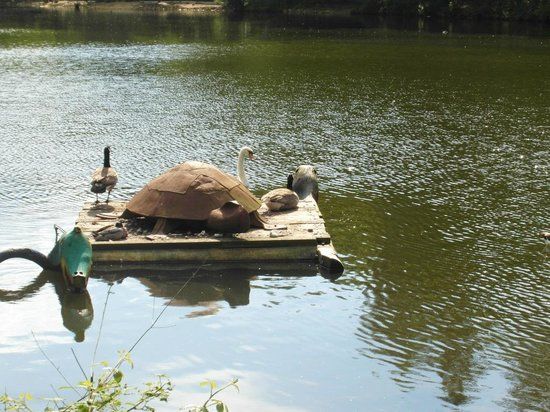 Wildpark Höllohe