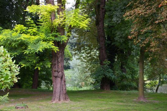 Park Miejski