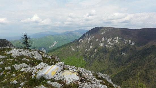 National Park Domogled