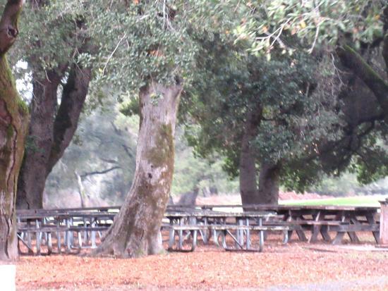 Ragle Ranch Regional Park