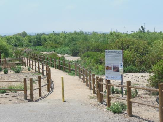 South Bay Salt Works