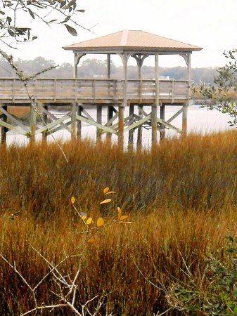 Dutton Island Preserve