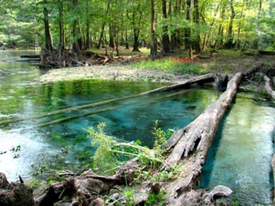 Hinson Conservation and Recreation Area
