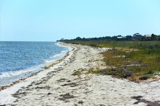 Bald Point State Park