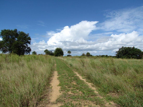Ferndale Preserve