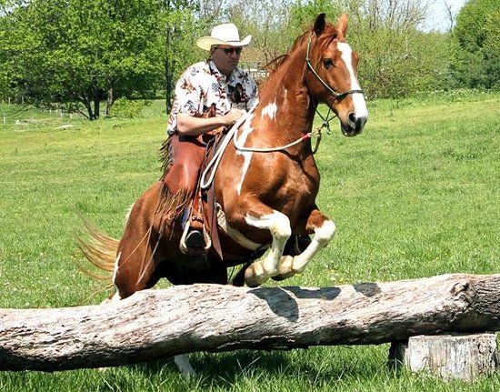 JBiT Ranch