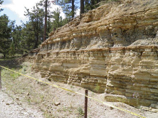 Florissant Fossil Quarry