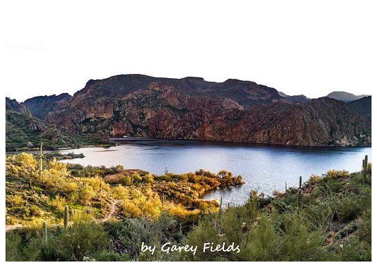 Lake Saguaro