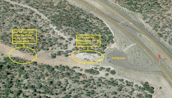 Paleo Site