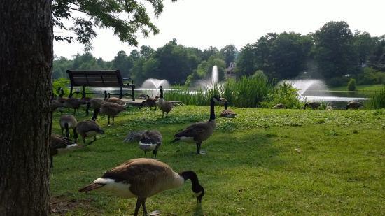 Watchung Lake Dam