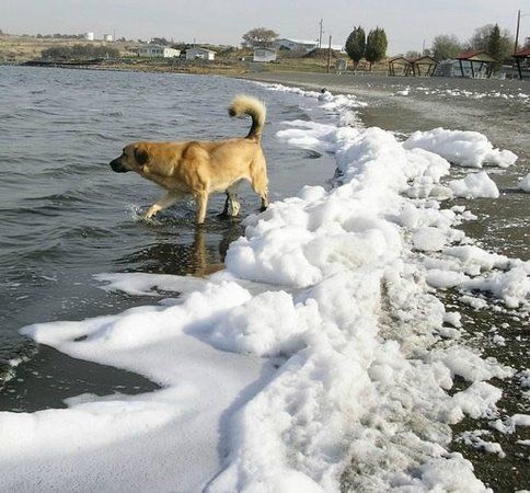 Soap Lake