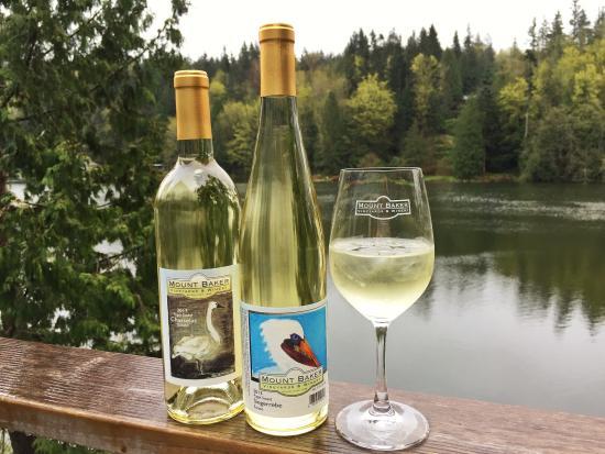 Mount Baker Vineyards and Winery