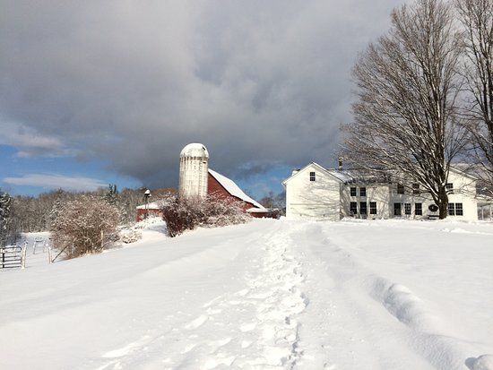Baird Farm Vermont Maple Syrup