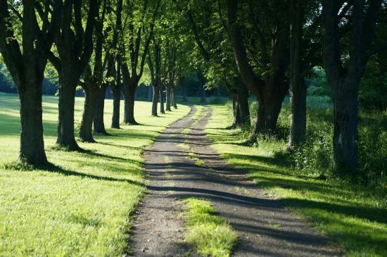 Wildwood Conservation Area