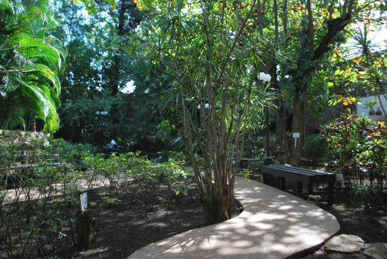 Jardin Botanico Xmuch'haltun