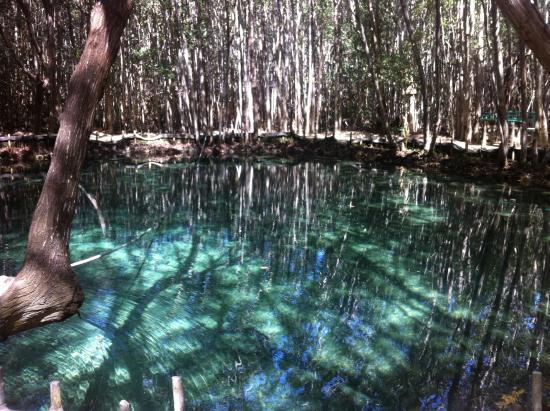 Reserva Ecológica El Corchito