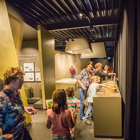 ROGG-IN Weißenstadt