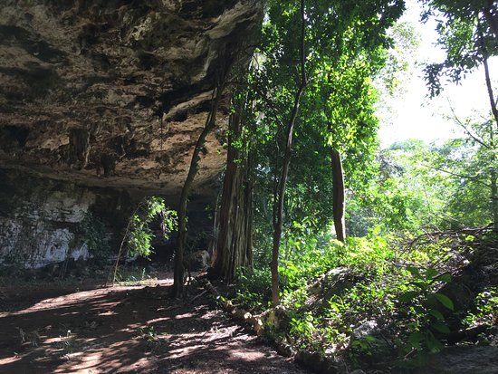 Xkopek Parque Apícola