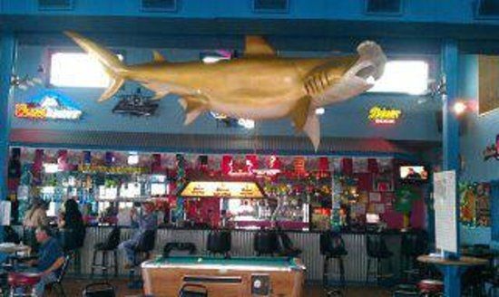 Sharkies Bar and Grill